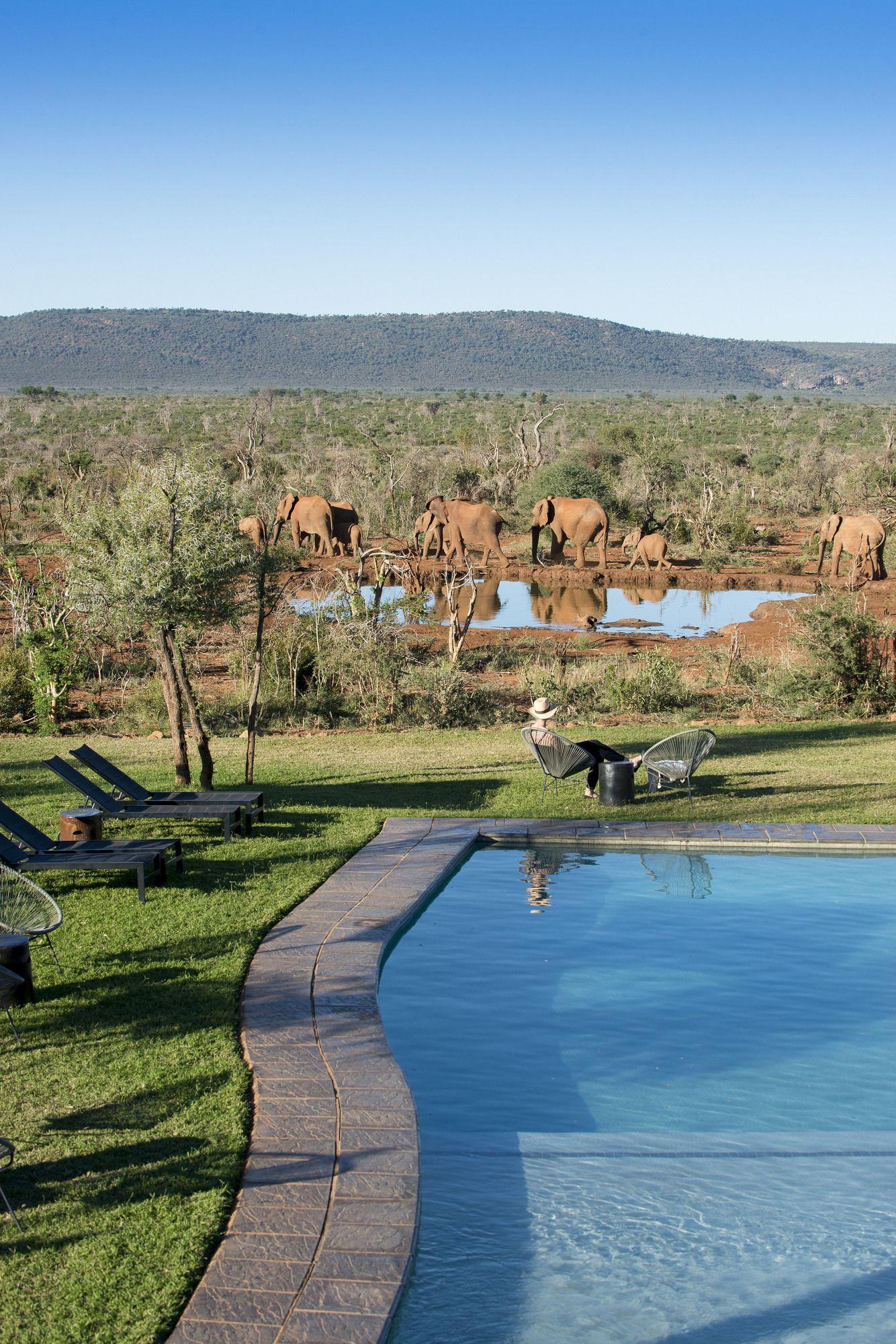 Madikwe Safari Lodge Madikwe Game Reserve Exterior photo