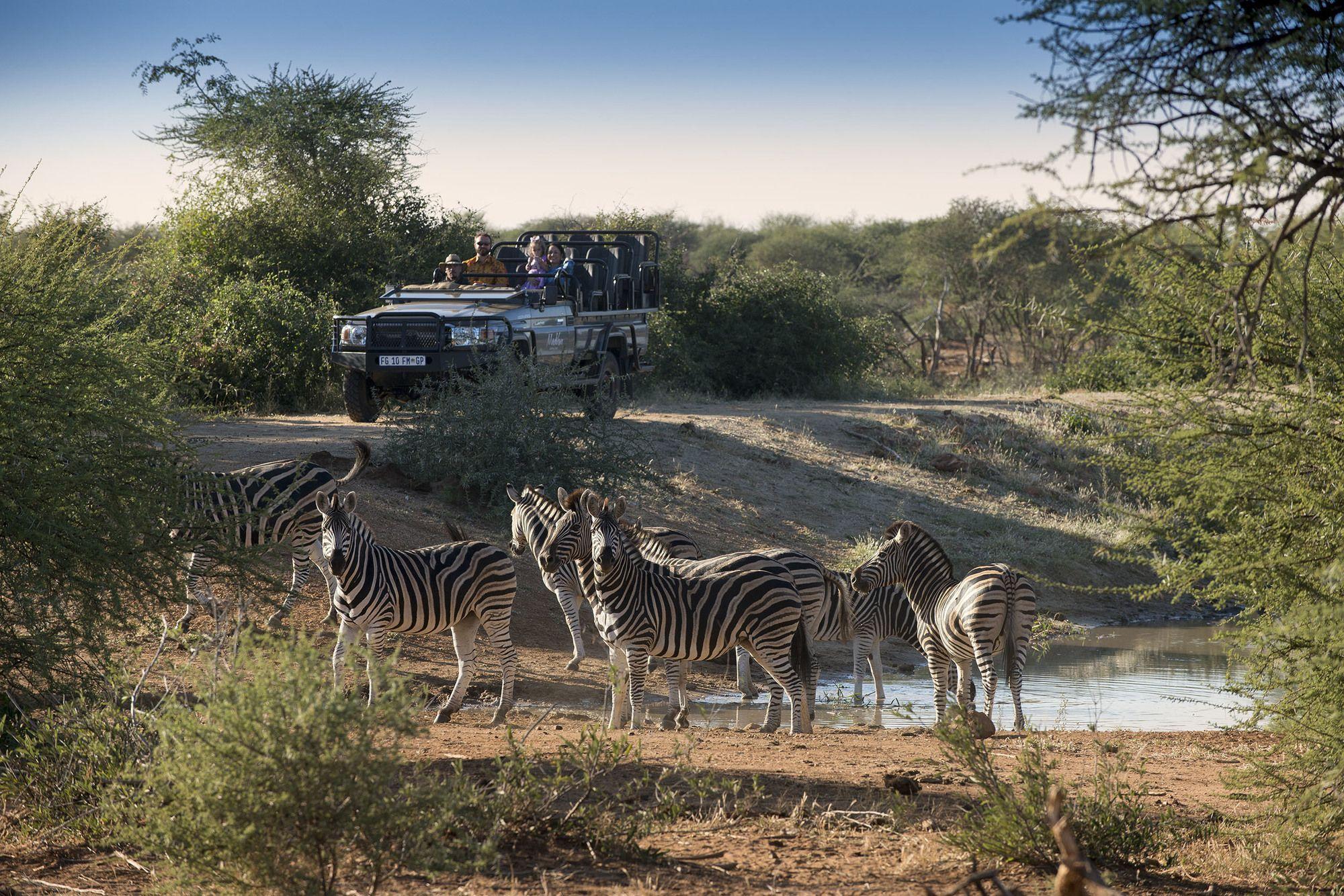 Madikwe Safari Lodge Madikwe Game Reserve Exterior photo